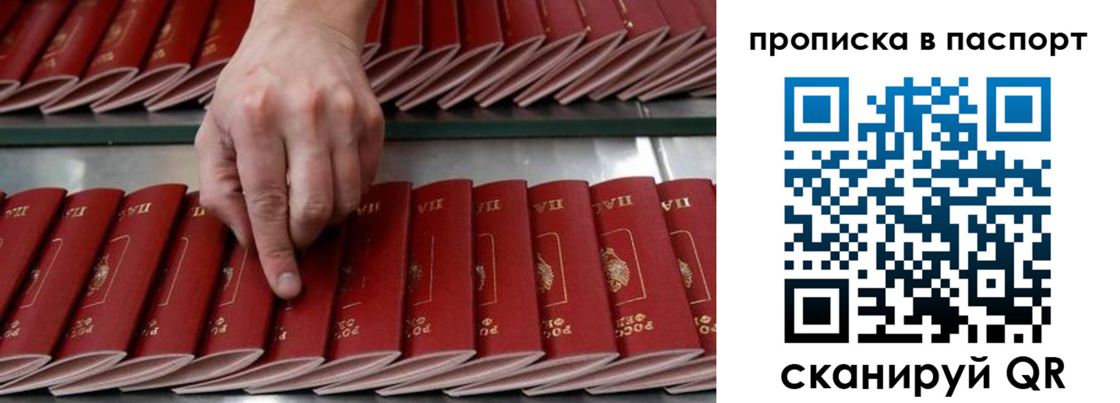 регистрация для школы в Дальнегорске